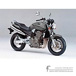 Honda CB900F HORNET 2003 - Silber