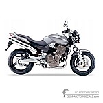 Honda CB900F HORNET 2004 - Zilver