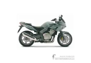 Aufkleber für Honda CBF1000 2006 - Grün • Honda OEM-Aufkleber