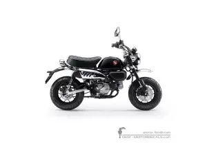 Pegatinas para Honda MONKEY 2025 • Honda Pegatinas OEM