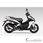 Honda NSC50 R 2013