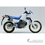 Honda NX650 DOMINATOR 1991 - White