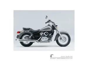Adesivi per Honda VT125C SHADOW 1999 • Honda Adesivi OEM