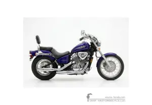 Adesivi per Honda VT600C SHADOW VLX 2001 • Honda Adesivi OEM