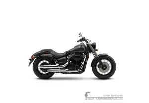 Decals for Honda VT750C SHADOW 2010 • Honda OEM Decals