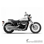 Honda VT750C SHADOW RS 2010
