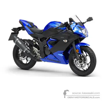 Kawasaki NINJA 125 2019 - Blu - Candy Plasma Blue / Metallic Flat Spark Black