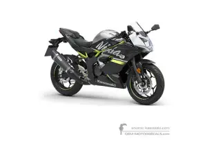 Autocollants pour Kawasaki NINJA 125 2019 - Gris • Kawasaki Autocollants OEM