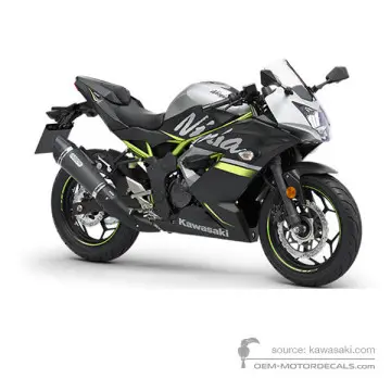 Kawasaki NINJA 125 2019 - Grijs - Metallic Flat Spark Black / Metallic Matte Fusion Silver