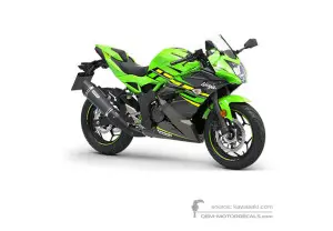 Decals for Kawasaki NINJA 125 2019 - Green Black • Kawasaki OEM Decals