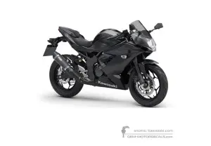 Decals for Kawasaki NINJA 125 2020 - Black • Kawasaki OEM Decals