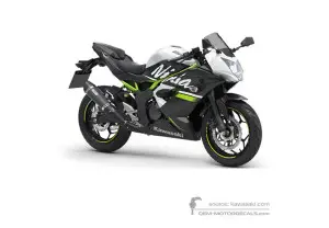Pegatinas para Kawasaki NINJA 125 2020 - Blanco • Kawasaki Pegatinas OEM