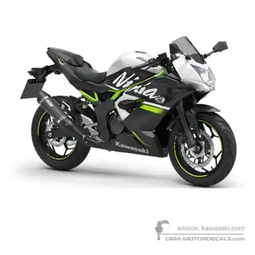 Kawasaki NINJA 125 2020 - Wit - Metallic Flat Stardust White / Metallic Flat Spark Black