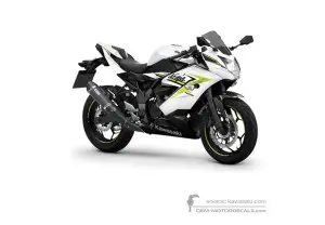 Decals for Kawasaki NINJA 125 2022 - White • Kawasaki OEM Decals