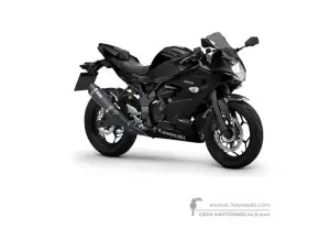 Decals for Kawasaki NINJA 125 2022 - Black • Kawasaki OEM Decals