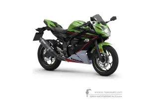 Pegatinas para Kawasaki NINJA 125 2022 - Verde Negro • Kawasaki Pegatinas OEM