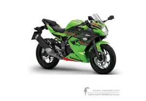 Aufkleber für Kawasaki NINJA 125 2023 - Grün Schwarz • Kawasaki OEM-Aufkleber