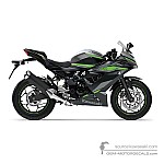 Kawasaki NINJA 125 2024 - Gris