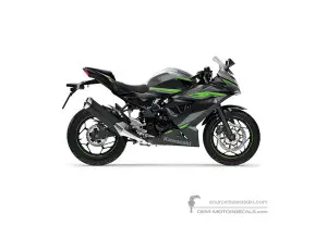 Aufkleber für Kawasaki NINJA 125 2024 - Grau • Kawasaki OEM-Aufkleber