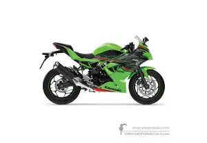 Decals for Kawasaki NINJA 125 2024 - Green • Kawasaki OEM Decals