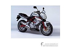 Adesivi per Kawasaki ER650 ER6N 2006 - Argento • Kawasaki Adesivi OEM