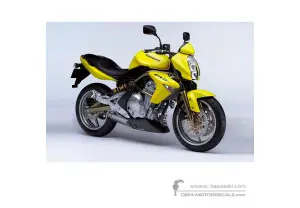 Decals for Kawasaki ER650 ER6N 2006 - Yellow • Kawasaki OEM Decals