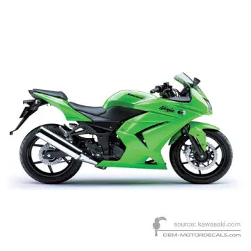 Kawasaki NINJA 250R 2009 - Verde - Lime Green