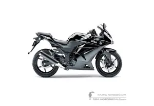 Naklejki do Kawasaki NINJA 250R | EX250 2010 • Kawasaki Naklejki OEM