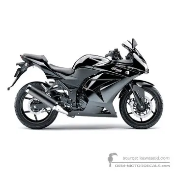 Kawasaki NINJA 250R 2010 - Ebony - Ebony