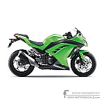 Kawasaki NINJA 2013 - Groen