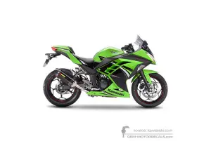 Autocollants pour Kawasaki NINJA 300 | EX300 Special Edition 2014 • Kawasaki Autocollants OEM