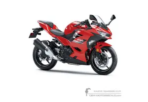 Decals for Kawasaki NINJA 400 2021 - Red • Kawasaki OEM Decals