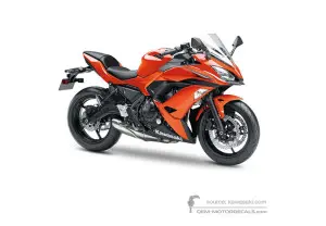 Decals for Kawasaki NINJA 650 2017 - Orange • Kawasaki OEM Decals