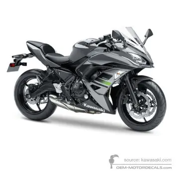 Kawasaki NINJA 650 2018 - Grigio - Pearl Storm Grey / Ebony