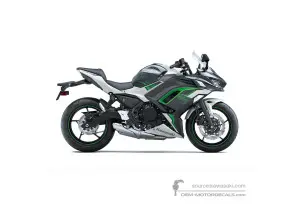 Decals for Kawasaki NINJA 650 2022 - Gray • Kawasaki OEM Decals