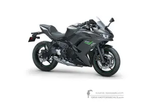 Decals for Kawasaki NINJA 650 2023 - Gray • Kawasaki OEM Decals