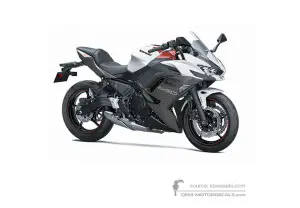 Decals for Kawasaki NINJA 650 2023 - White • Kawasaki OEM Decals