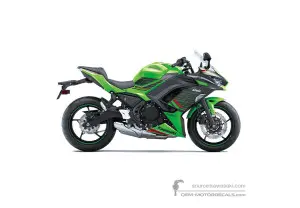 Decals for Kawasaki NINJA 650 2024 - Green • Kawasaki OEM Decals