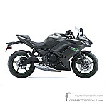 Kawasaki NINJA 650 2024 - Gris