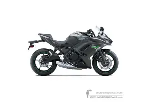 Decals for Kawasaki NINJA 650 2024 - Gray • Kawasaki OEM Decals