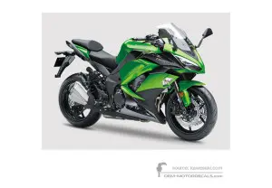Decals for Kawasaki Z1000SX 2017 - Green • Kawasaki OEM Decals