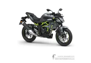 Decals for Kawasaki Z125 2023 - Gray • Kawasaki OEM Decals