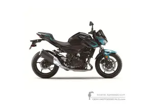 Autocollants pour Kawasaki Z400 2021 - Vert • Kawasaki Autocollants OEM