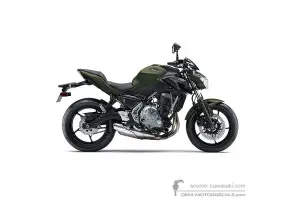 Decals for Kawasaki Z650 2018 - Green • Kawasaki OEM Decals