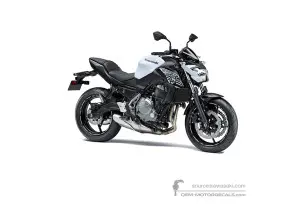 Decals for Kawasaki Z650 2019 - White • Kawasaki OEM Decals