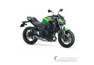 Decals for Kawasaki Z650 2020 - Green • Kawasaki OEM Decals