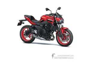 Decals for Kawasaki Z650 2022 - Red • Kawasaki OEM Decals