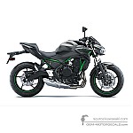 Kawasaki Z650 2024 - Gray