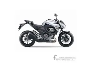 Decals for Kawasaki Z800 2013 - White E Version • Kawasaki OEM Decals