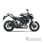 Kawasaki Z800 2013 - Schwarz Weiß